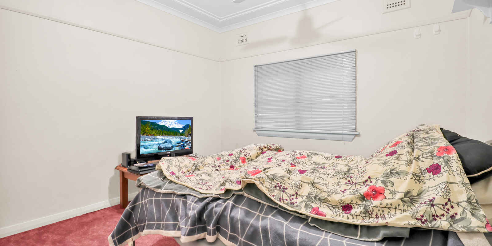 97 Sarsfield Street Blacktown