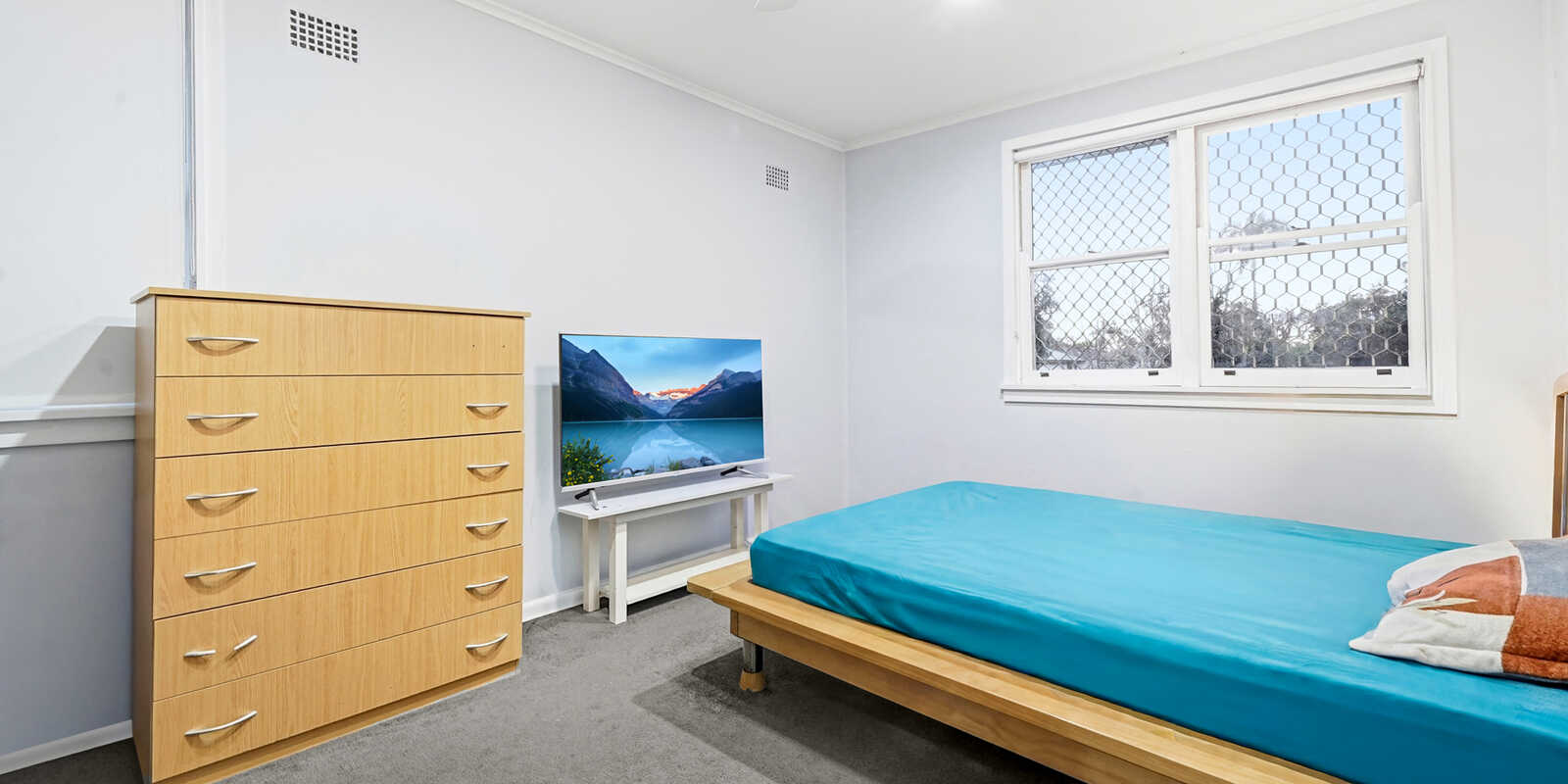 16 Robyn Street Blacktown