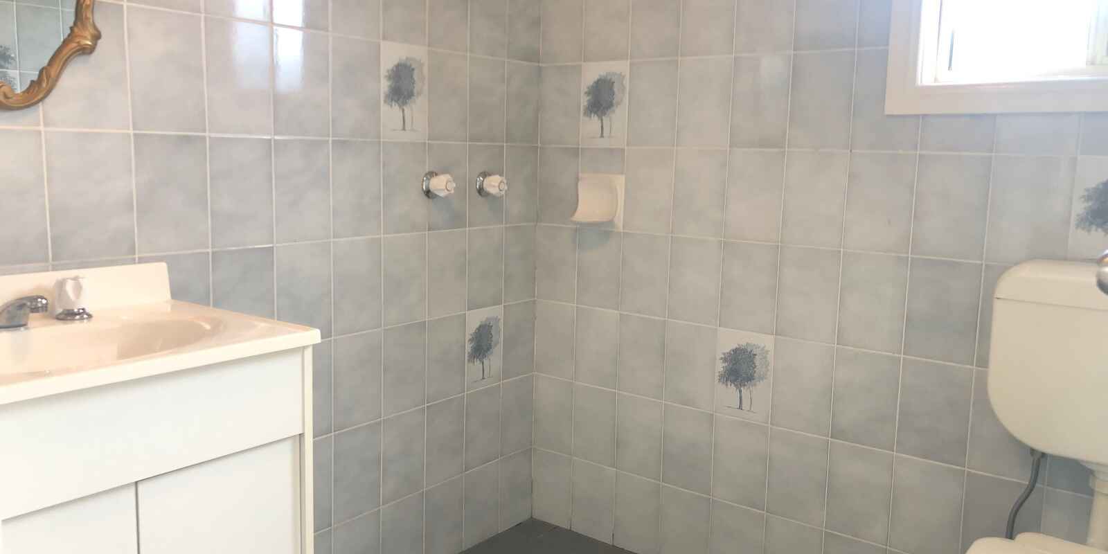 3 Leslie Street Blacktown